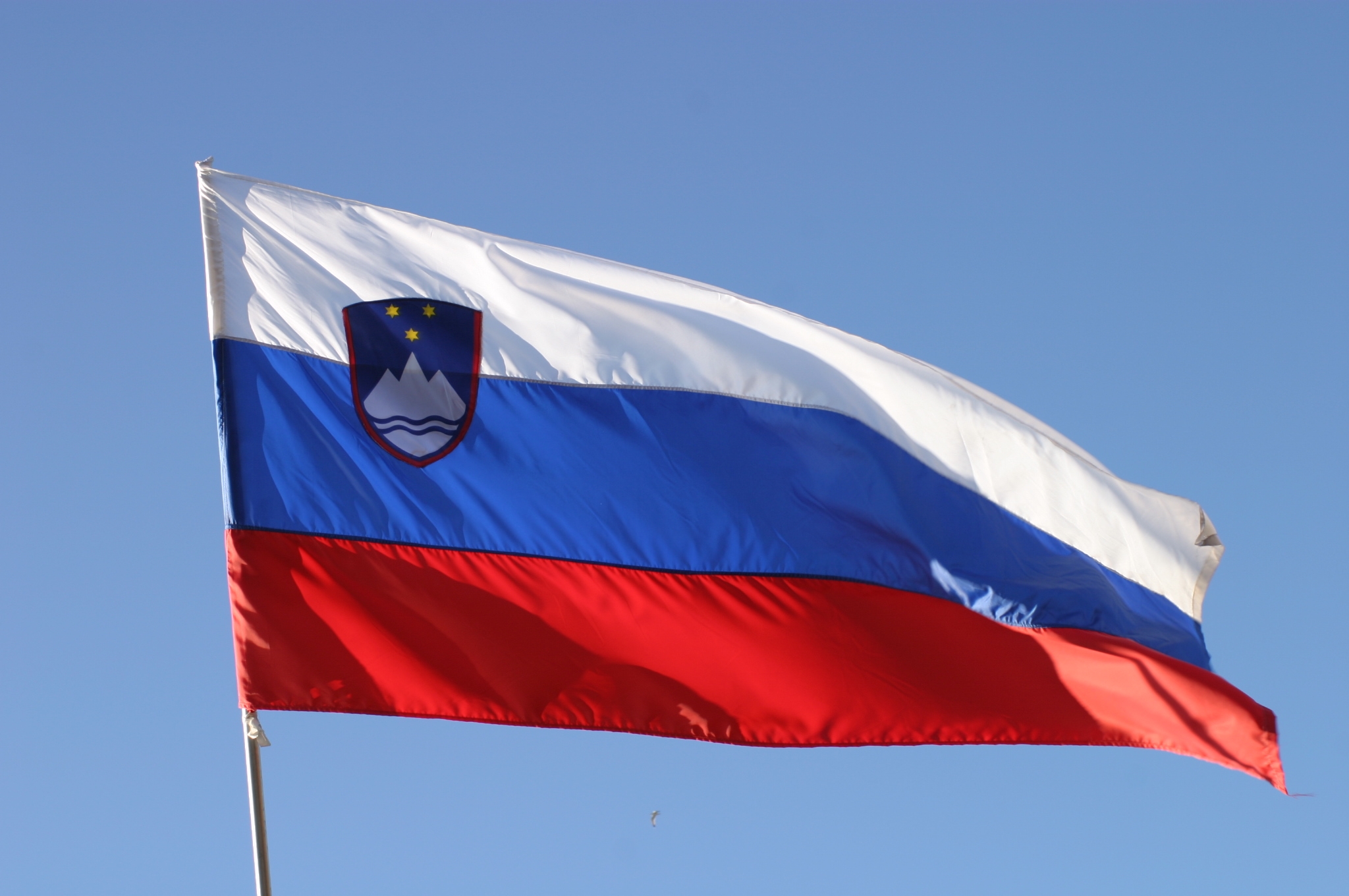 Slovenia bandiera 001