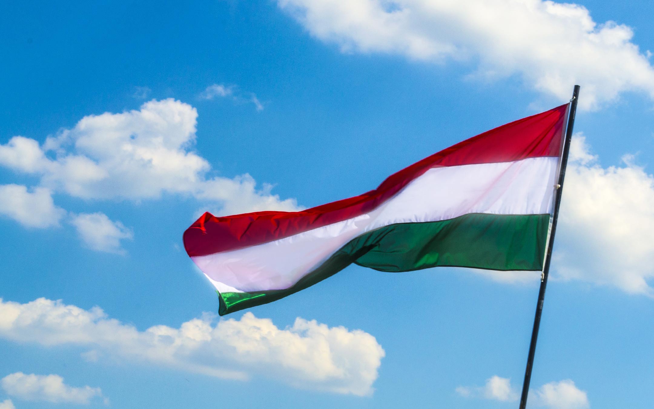 bandiera ungheria